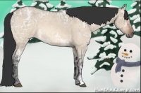 Horse Color:Bay Ice Roan Dun 