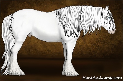 Horse Color: Cremello Dun 