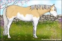 Horse Color:Silver Buckskin Roan Splash Frame
