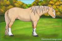 Horse Color:Palomino Roan Dun Splash