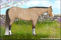 Horse Color:Buckskin Roan Splash 