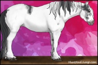 Horse Color:White Spotted Black Frame 