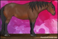 Horse Color:Brown Sabino 