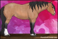 Horse Color:Bay Roan Sabino 