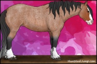Horse Color:Bay Roan Sabino Splash 
