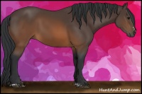 Horse Color:Brown Sabino 