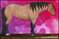 Horse Color:Bay Roan Sabino 
