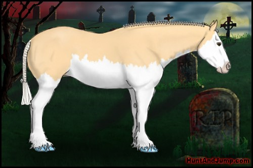 Horse Color: Palomino Roan Splash 