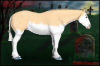 Horse Color:Palomino Roan Splash 