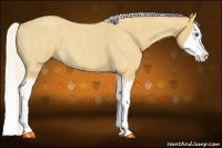 Horse Color:Silver Buckskin Roan Splash