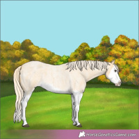 Horse Color:Palomino Roan Splash 
