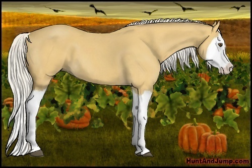 Horse Color: Silver Buckskin Roan Splash 