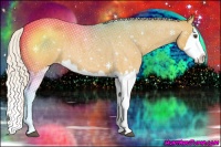 Horse Color:Silver Buckskin Roan Splash