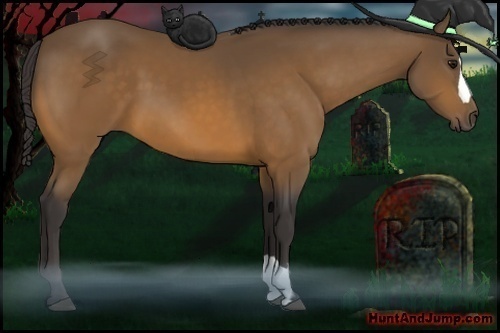 Horse Color: Buckskin 