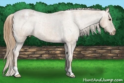 Horse Color: Red Roan Varnish  Brindle