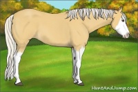 Horse Color:Silver Buckskin Roan Splash