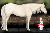 Horse Color:Palomino Roan Pearl Splash