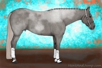 Horse Color:Silver Blue Roan 
