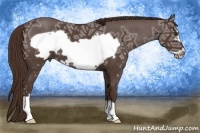 Horse Color:Liver Red Ice Roan Frame 