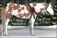 Horse Color:White Spotted Red Roan Splash 