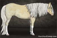 Horse Color:Silver Buckskin Ice Roan Splash 