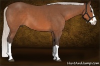 Horse Color:Silver Brown Splash 