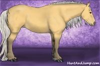 Horse Color:Silver Buckskin 
