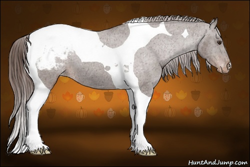 Horse Color: Liver Chestnut Tobiano Snowcap 