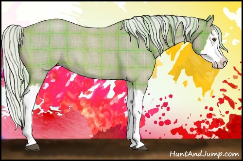 Horse Color: Watercolor Plaid  Silver Buckskin Roan Splash 
