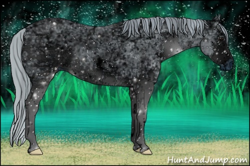 Horse Color: ERROR: UNKNOWN ANOMALY