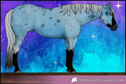 Horse Color: ERROR: UNKNOWN ANOMALY