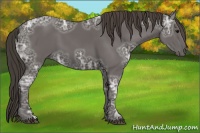 Horse Color:Smoky Black Ice Sabino 