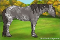 Horse Color:Smoky Black Ice Sabino 