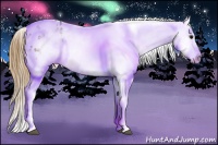 Horse Color:Smoky Grullo Ice Sabino Blanket 