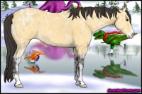 Horse Color:Buckskin Ice Sabino 