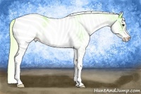 Horse Color:Watercolor White Spotted Palomino 