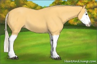 Horse Color:Palomino Roan Splash 