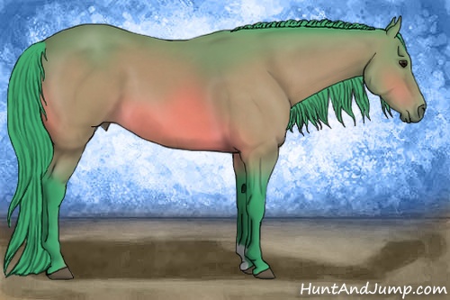 Horse Color: Watercolor Buckskin 