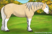 Horse Color:Silver Buckskin Roan Splash
