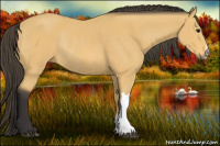 Horse Color:Buckskin Rabicano