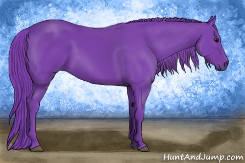 Horse Color: Watercolor Smoky Black 