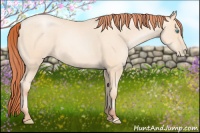 Horse Color:Sable Cream Champagne Pearl 