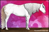 Horse Color:Bay Pearl Splash Frame Appaloosa Rabicano 