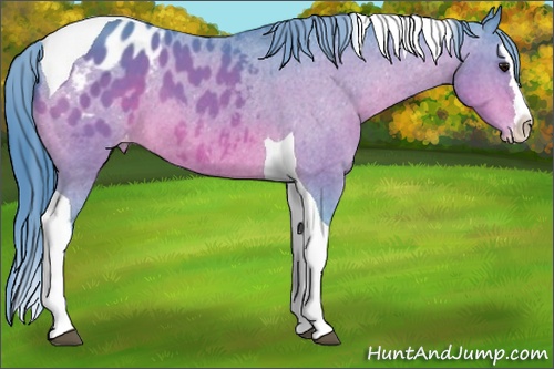 Horse Color: Watercolor Bay Splash Tobiano Blanket 