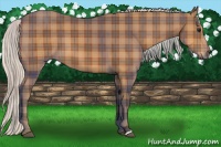 Horse Color:Plaid  Silver Bay 