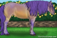 Horse Color:Watercolor Bay 