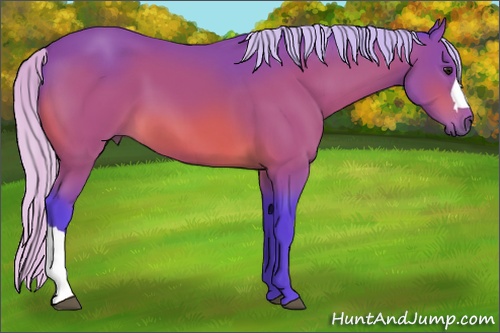 Horse Color: Watercolor Silver Bay 