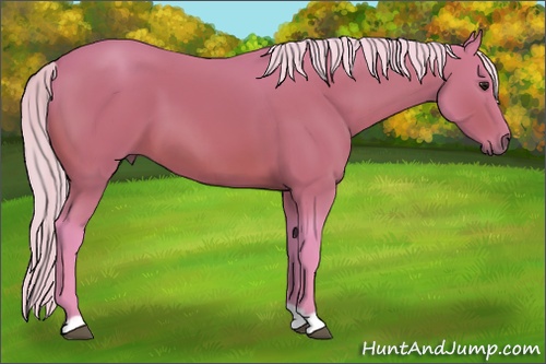 Horse Color: Watercolor Silver Bay 