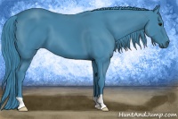 Horse Color:Watercolor Smoky Black 