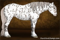 Horse Color:Silver Black Near Leopard 